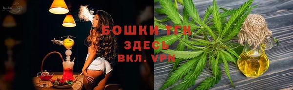трава Аркадак