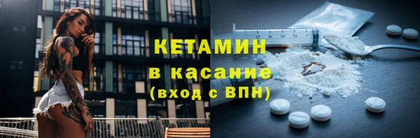 трава Аркадак