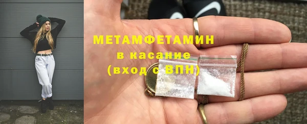 трава Аркадак
