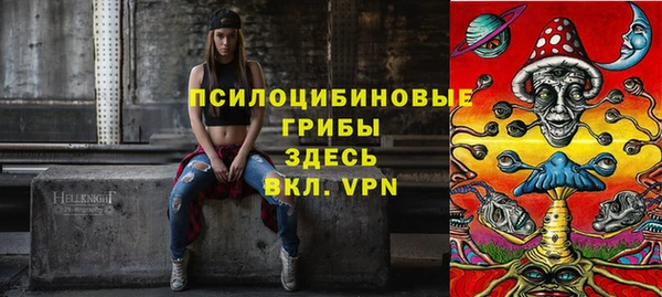 прущая мука Арсеньев
