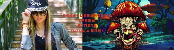 тгк Армянск