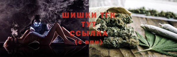 тгк Армянск