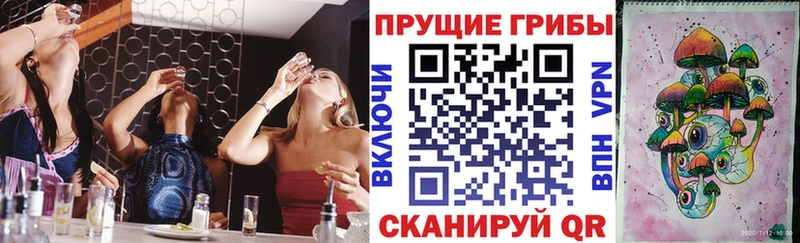 Купить закладки  Семёнов  Псилоцибиновые грибы Psilocybe 